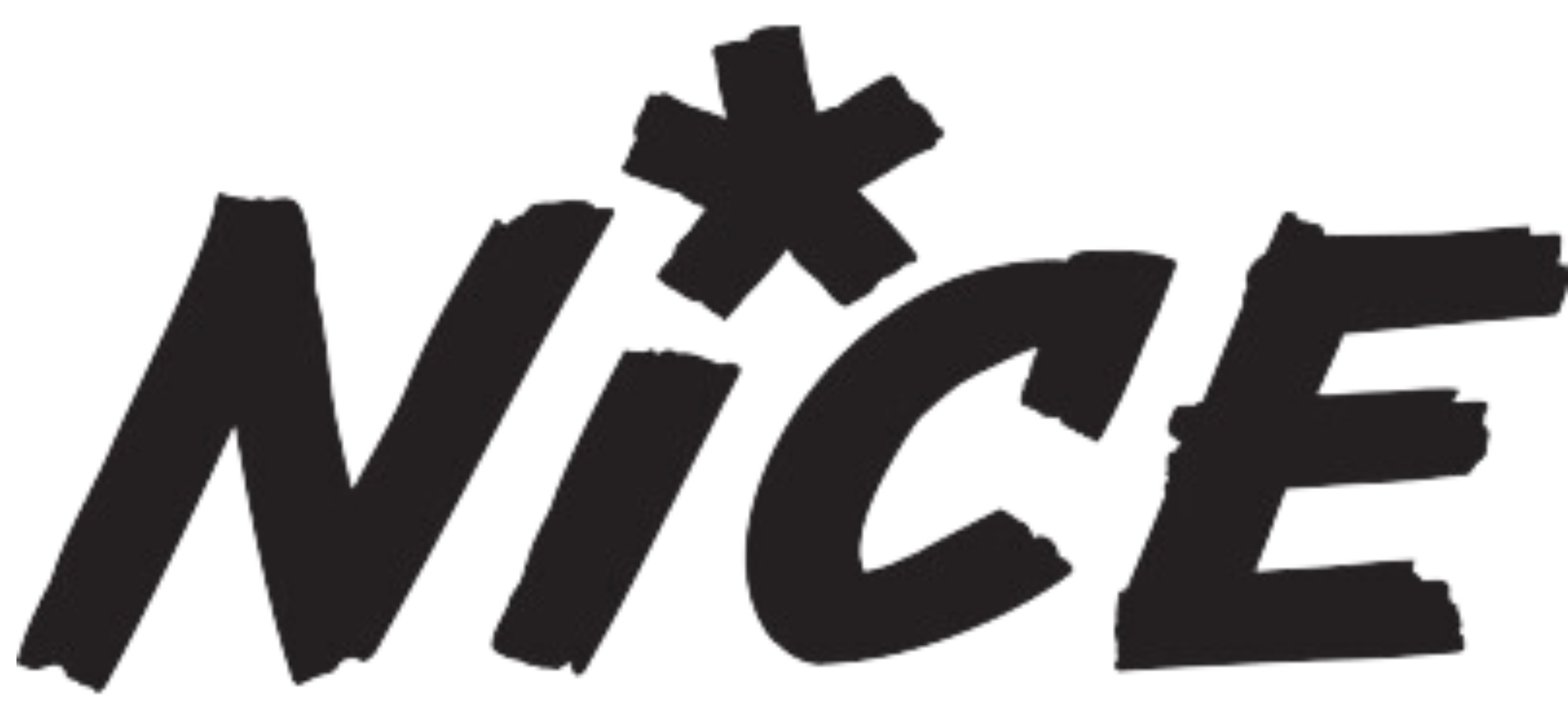 Nice Logo
